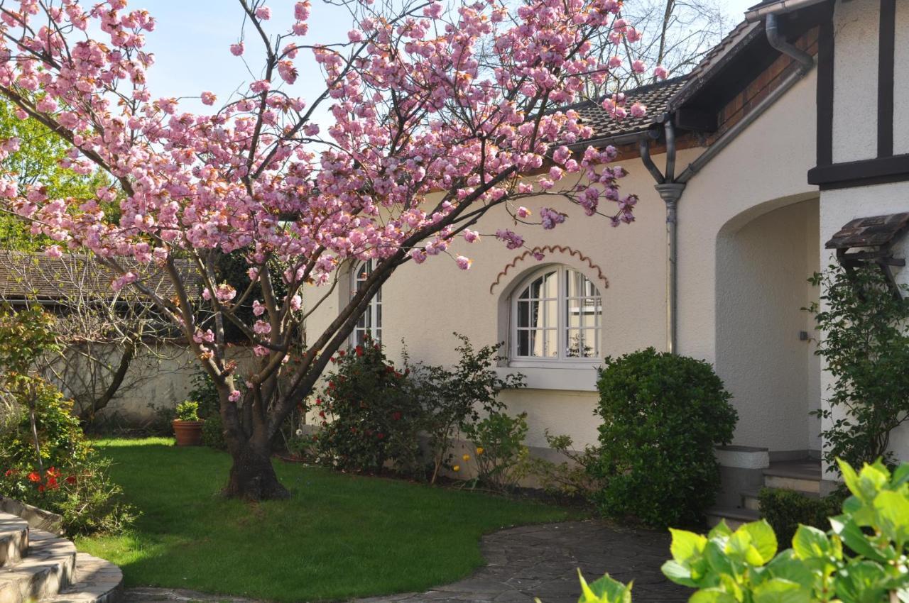 Maison D'Hotes Paris Riverside Saint-Maur-des-Fossés Eksteriør billede